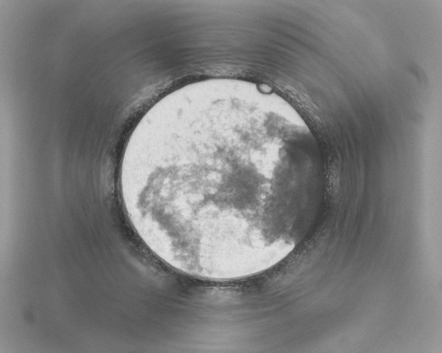 X0000115420303200912151609