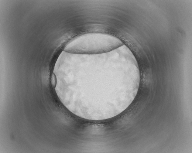 X0000115420304200912151609