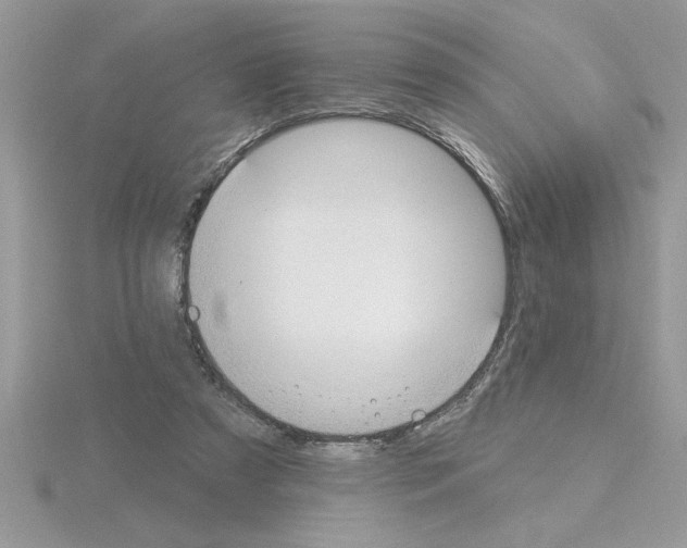 X0000115420305200912151609