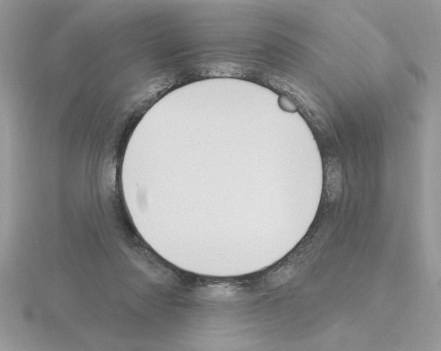 X0000115420310200912151609