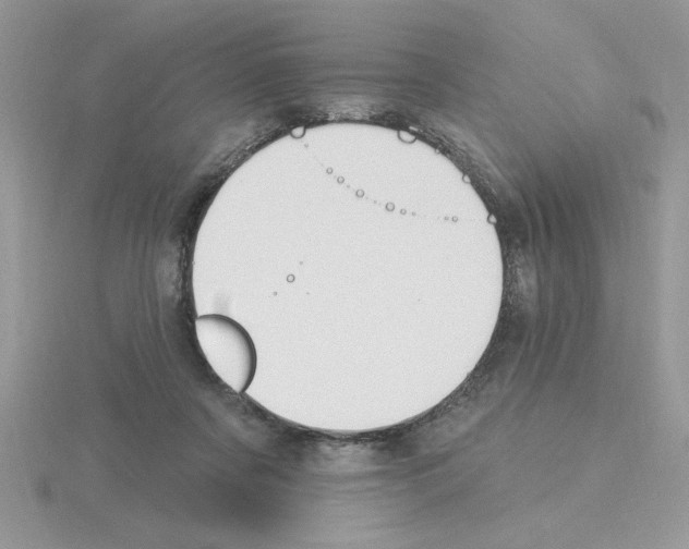 X0000115420311200912151609