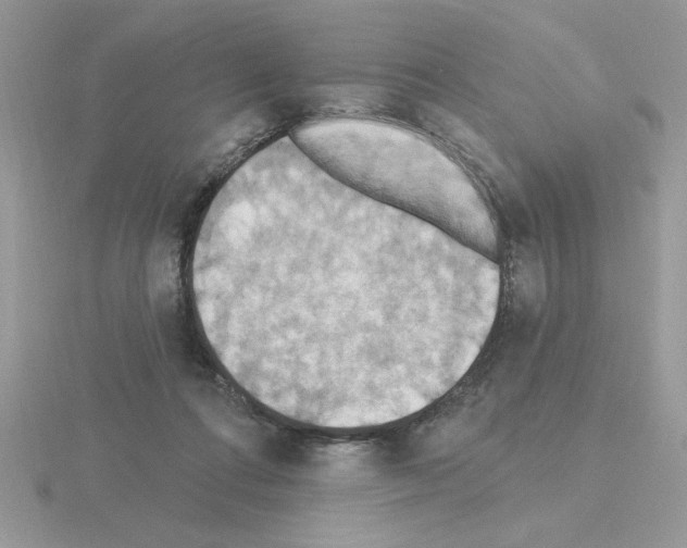 X0000115420312200912151609