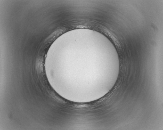 X0000115420313200912151609