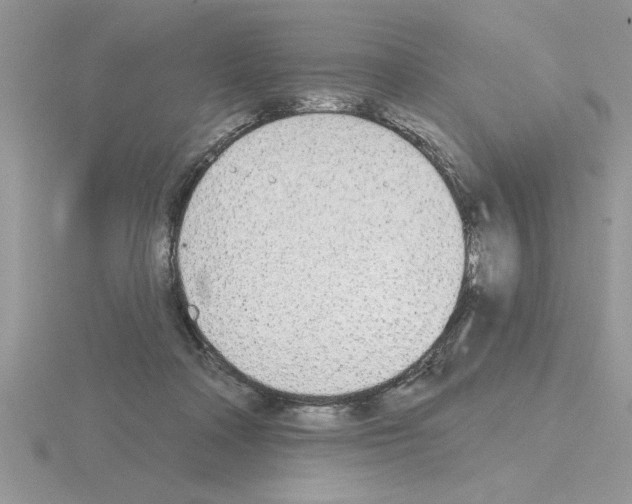X0000115420314200912151609