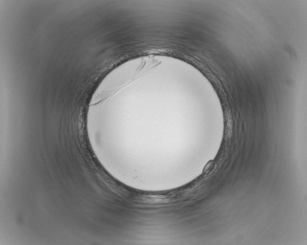 X0000115420316200912151609