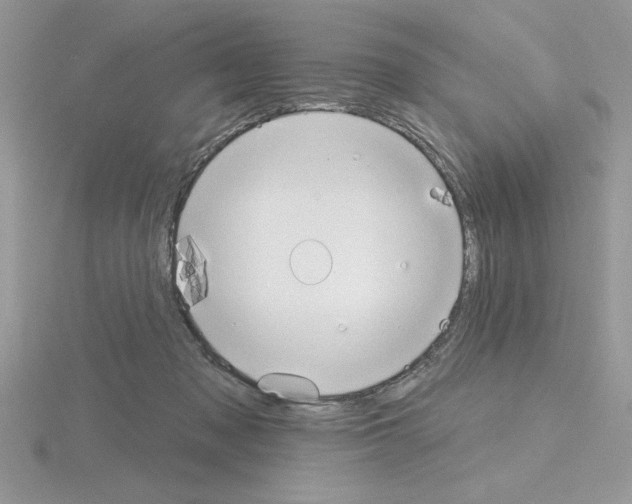 X0000115420317200912151609
