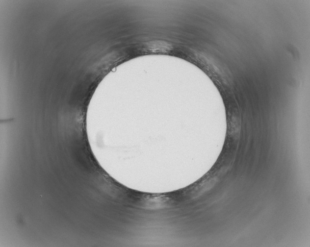 X0000115420321200912151609