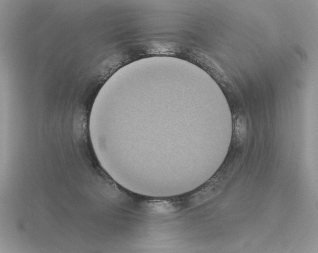 X0000115420322200912151609