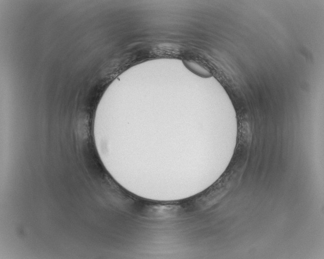 X0000115420323200912151609