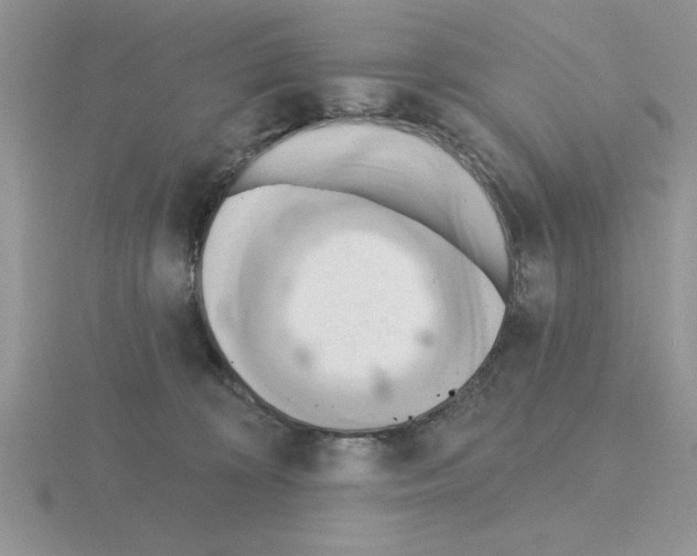 X0000115420324200912151608