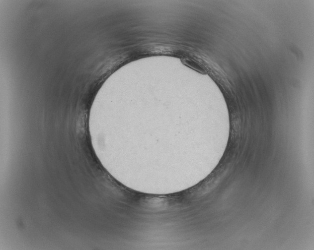 X0000115420325200912151608