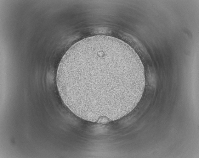 X0000115420326200912151608