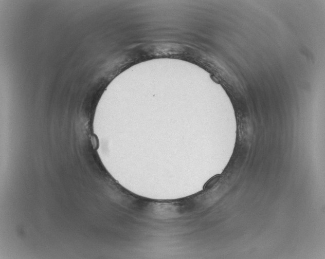 X0000115420327200912151608