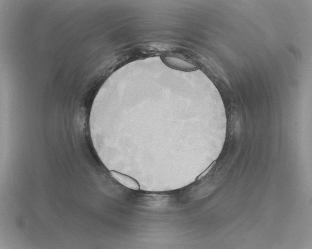 X0000115420328200912151608