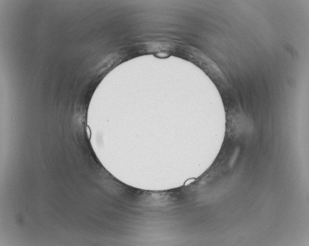 X0000115420329200912151608