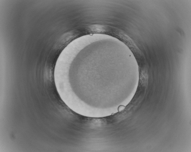 X0000115420330200912151608