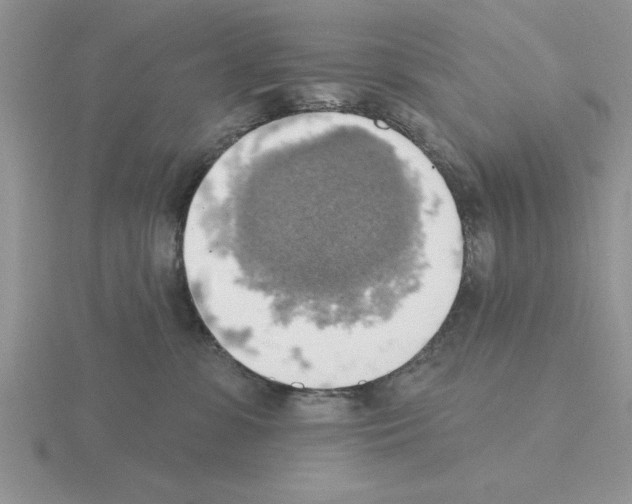 X0000115420331200912151608