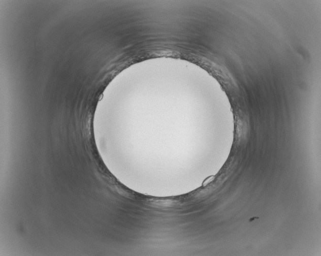 X0000115420332200912151608