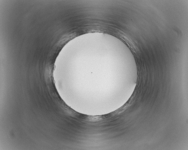 X0000115420333200912151608
