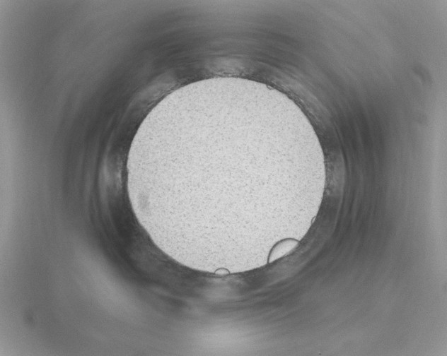 X0000115420334200912151608