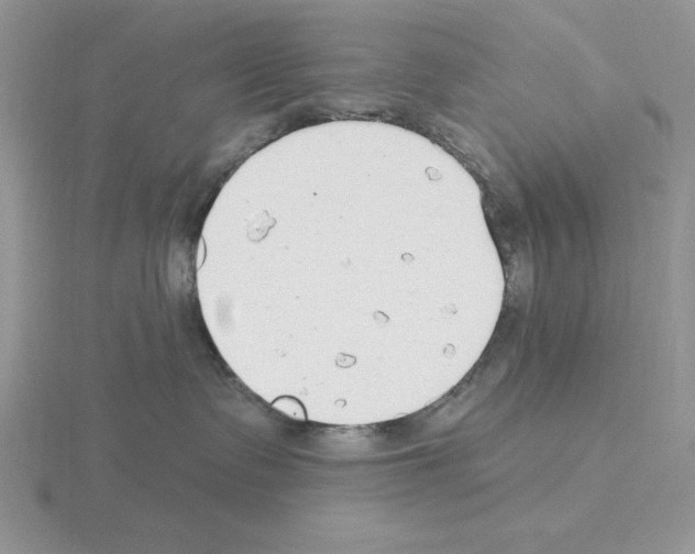 X0000115420335200912151608