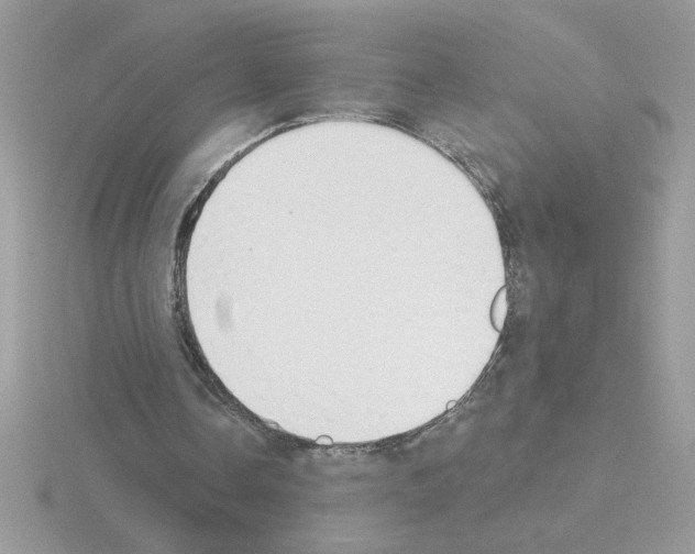 X0000115420338200912151608