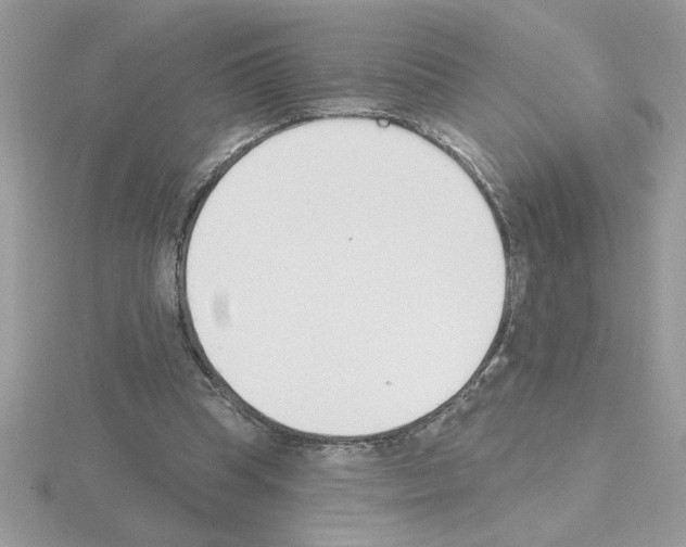 X0000115420345200912151608