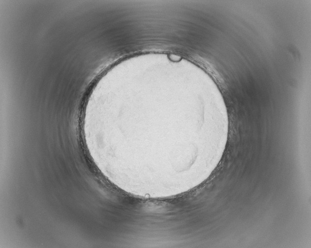 X0000115420346200912151608