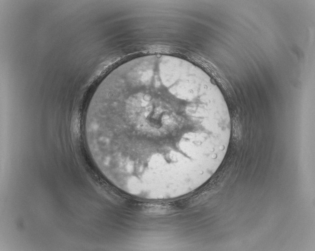X0000115420347200912151608