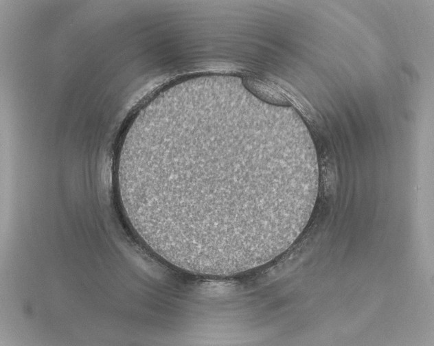 X0000115420350200912151608