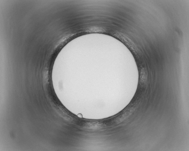 X0000115420351200912151608