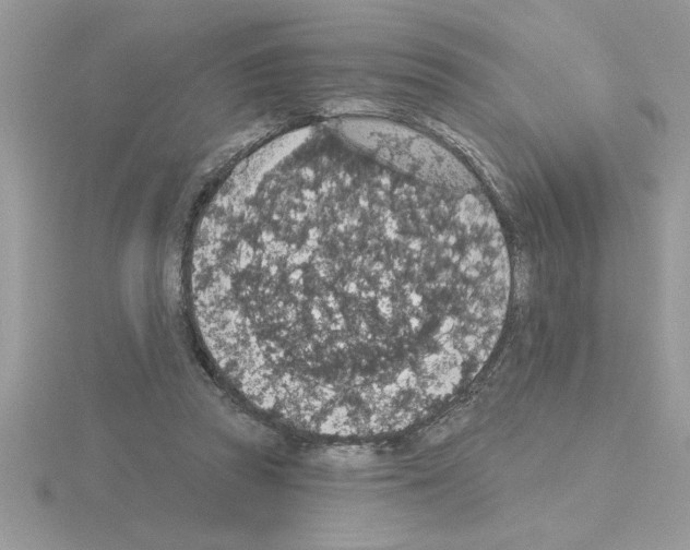 X0000115420353200912151608