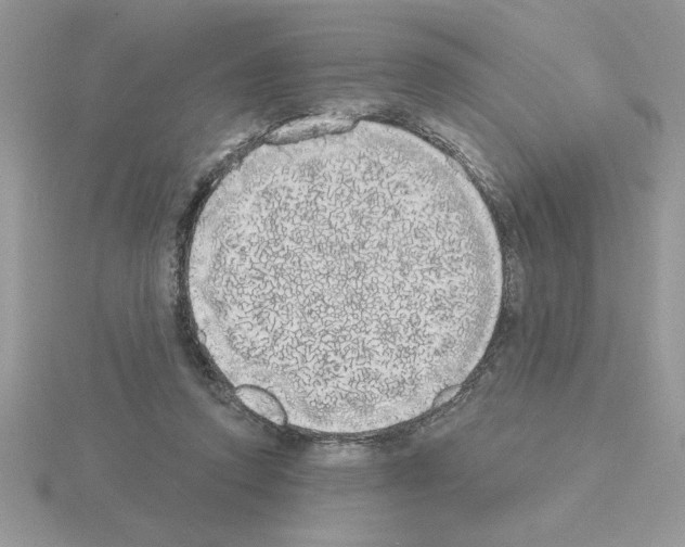 X0000115420354200912151608