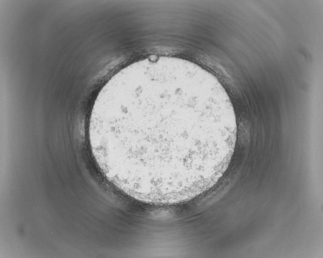 X0000115420358200912151608