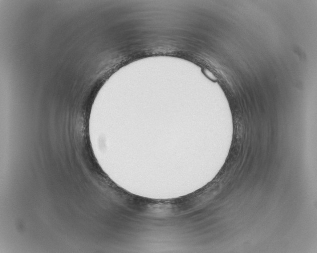 X0000115420362200912151608