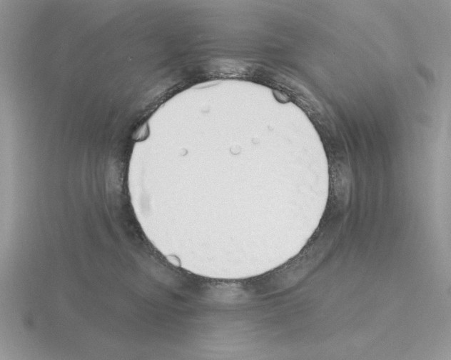 X0000115420374200912151608