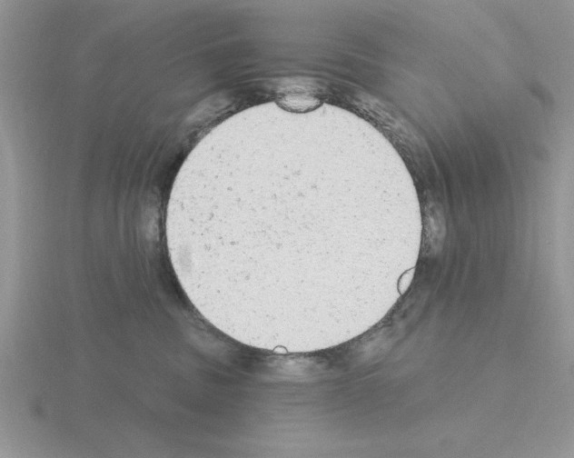 X0000115420379200912151608