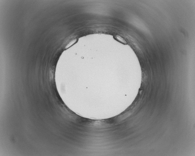 X0000115420382200912151608