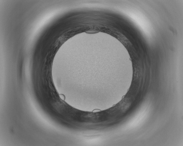 X0000115420383200912151608