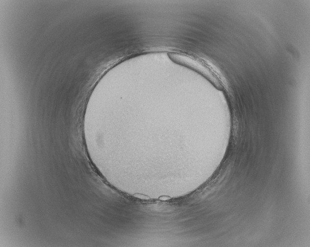 X0000115420385200912151608