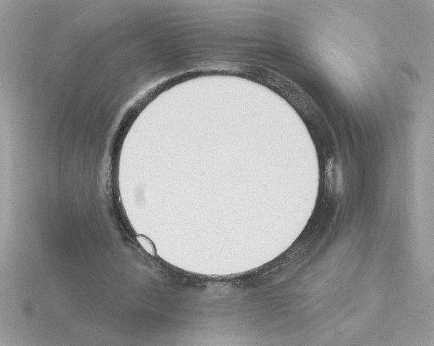 X0000115420388200912151608