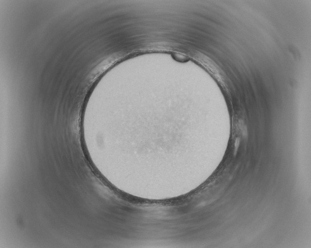X0000115420389200912151608