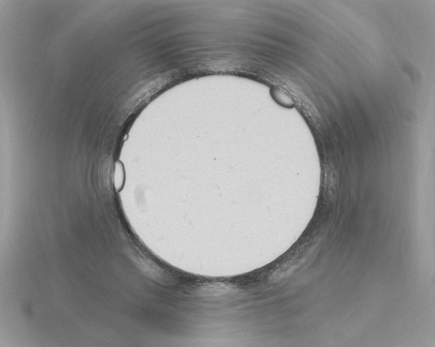 X0000115420397200912151607