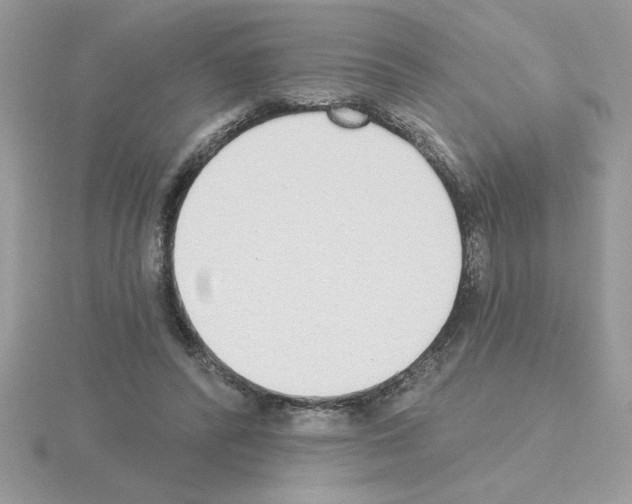 X0000115420400200912151607
