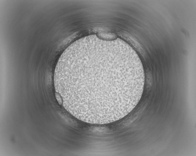 X0000115420401200912151607