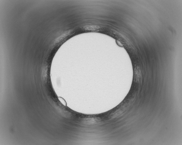 X0000115420404200912151607