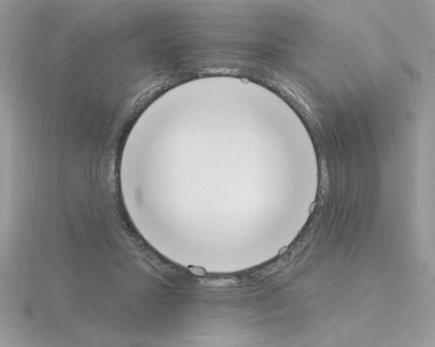 X0000115420407200912151607