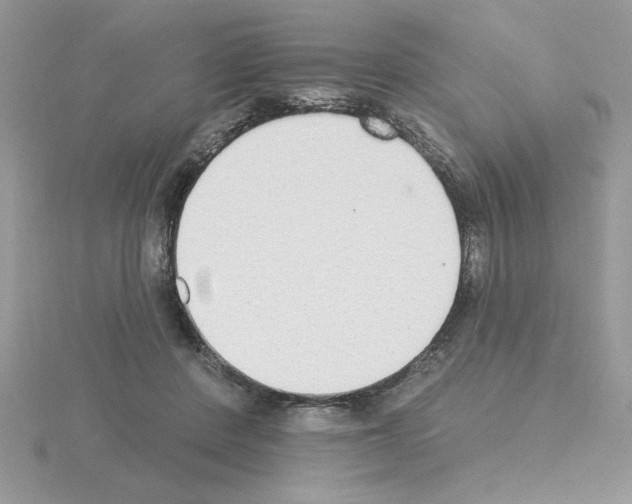 X0000115420408200912151607