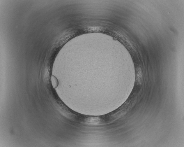 X0000115420410200912151607