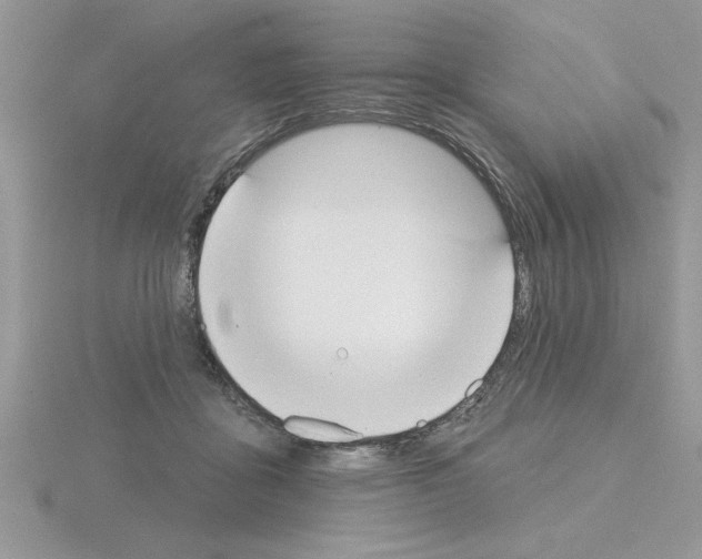 X0000115420411200912151607
